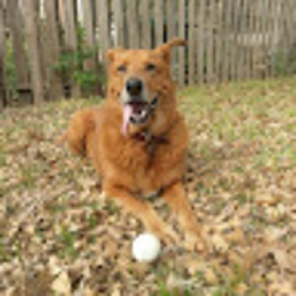 Meet your Posher, Sky